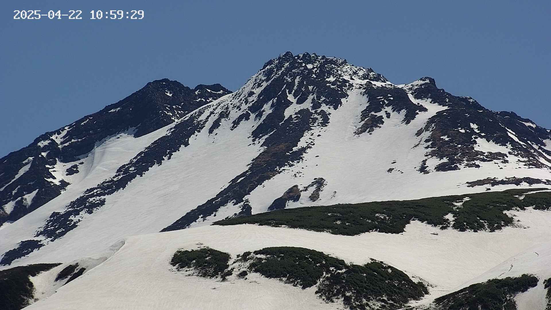 chojo20250422105929.jpg