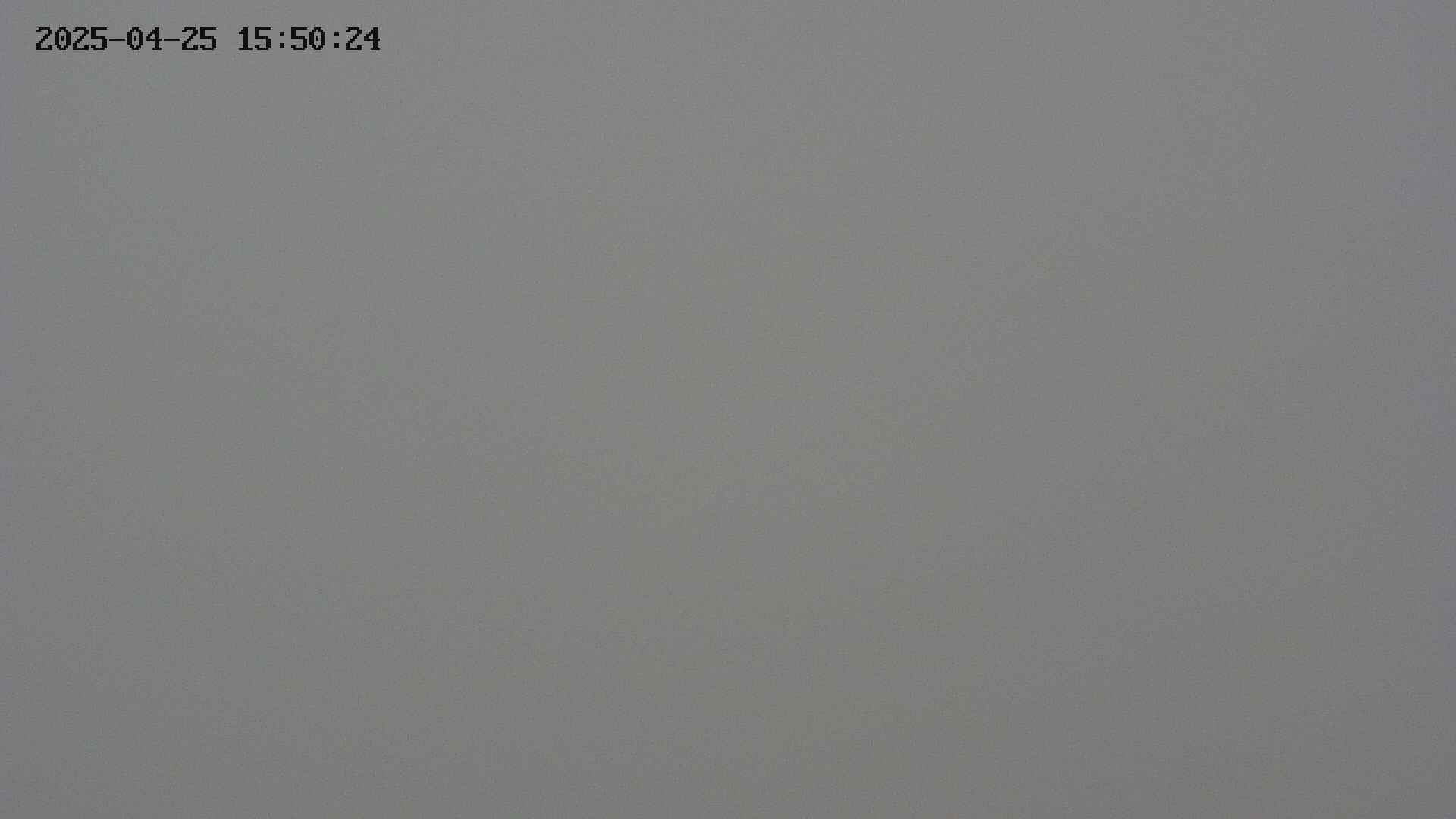 chojo20250425155025.jpg