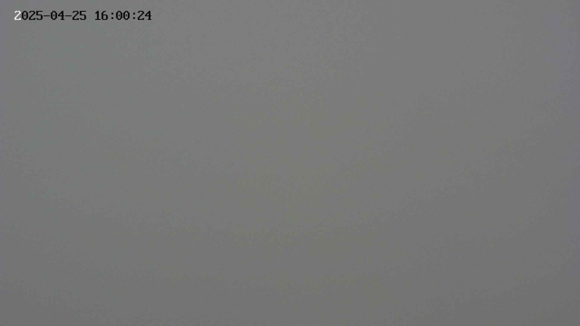 chojo20250425160024.jpg