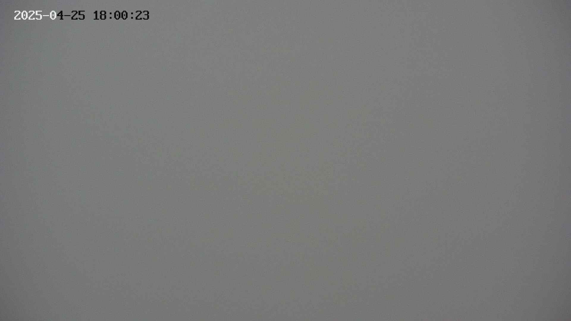 chojo20250425180024.jpg