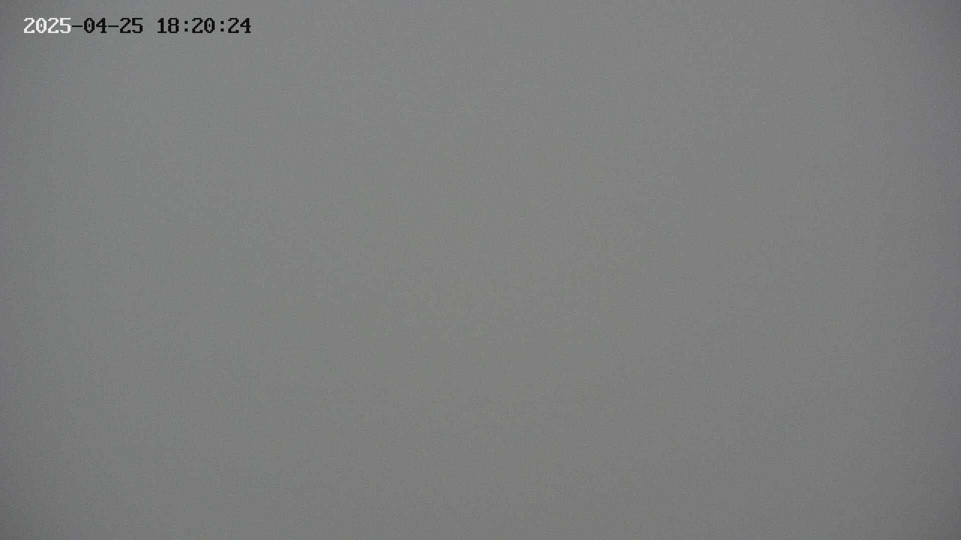 chojo20250425182025.jpg