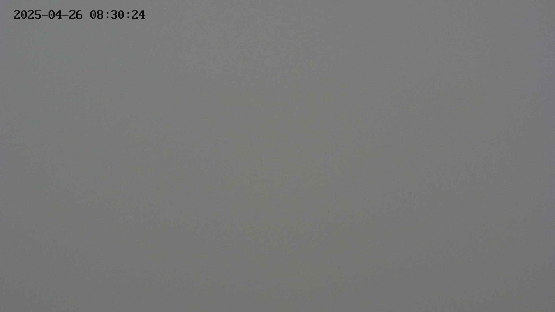chojo20250426083025.jpg