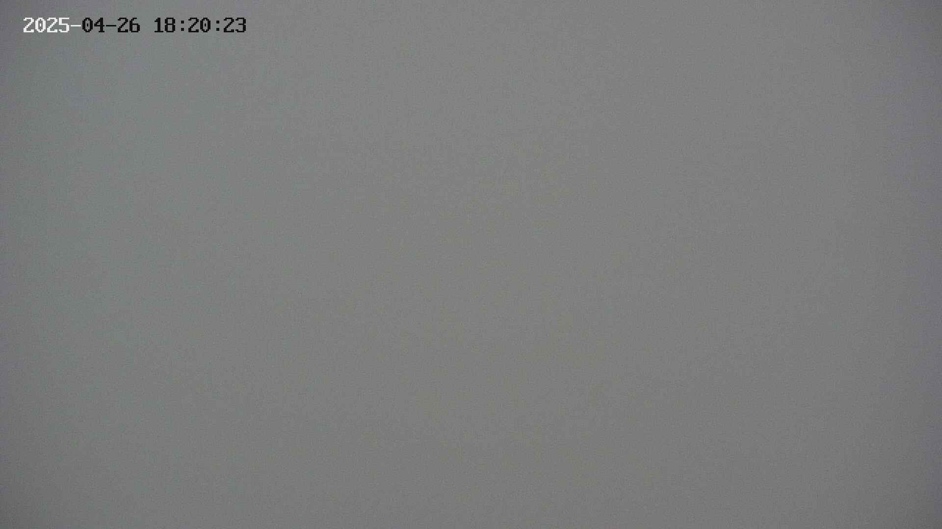 chojo20250426182024.jpg