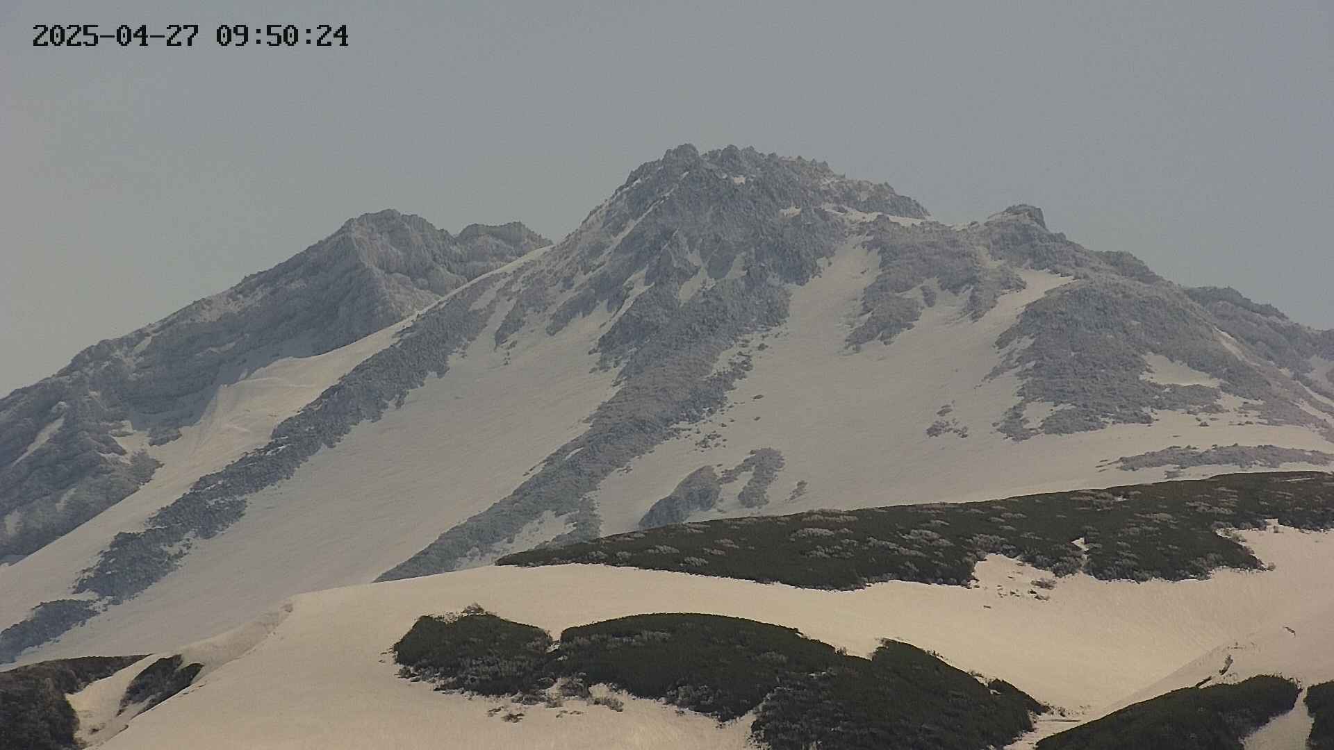 chojo20250427095025.jpg