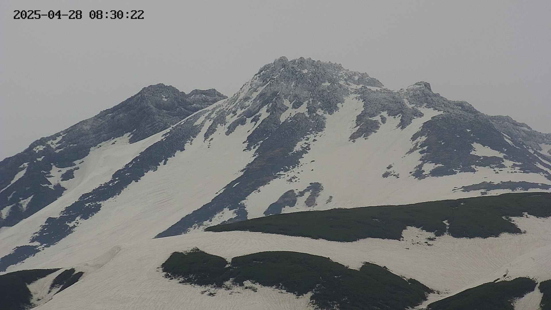 chojo20250428083024.jpg