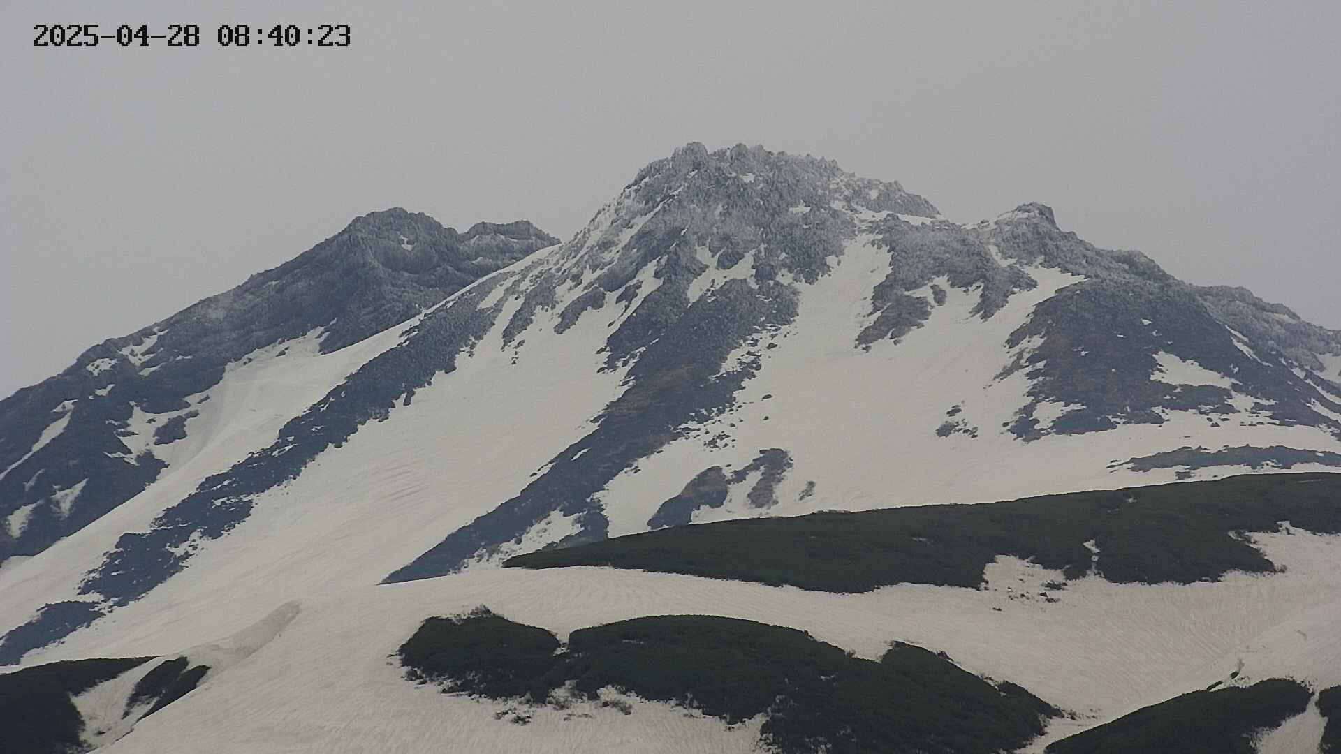 chojo20250428084025.jpg
