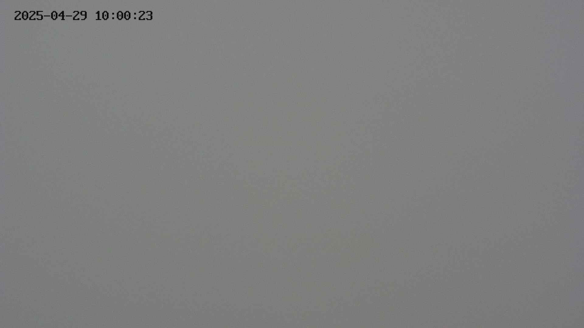 chojo20250429100024.jpg