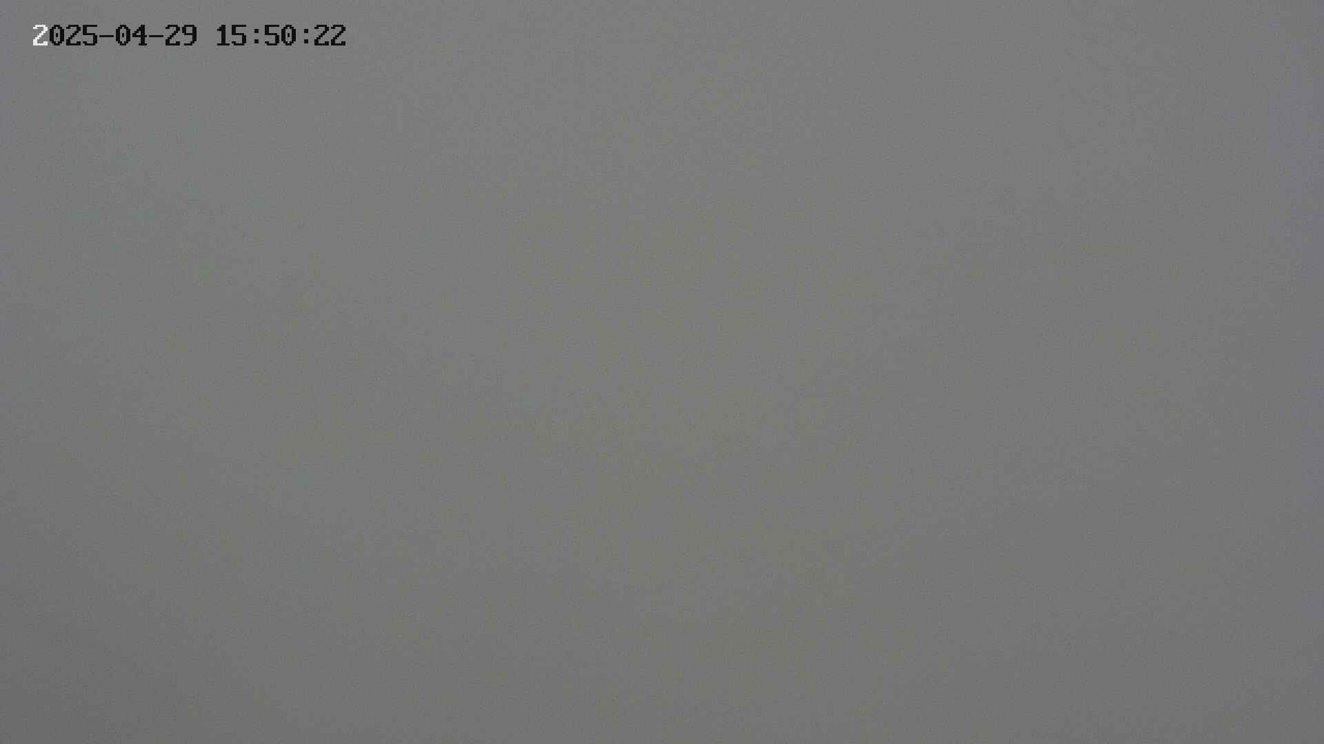 chojo20250429155023.jpg