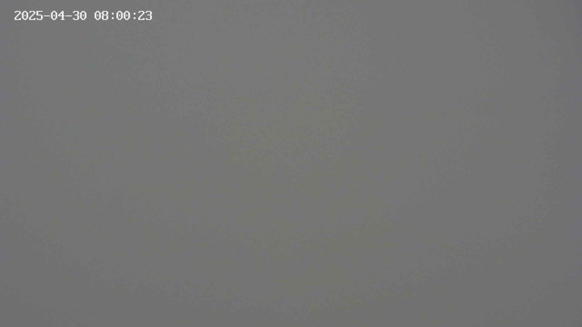 chojo20250430080025.jpg
