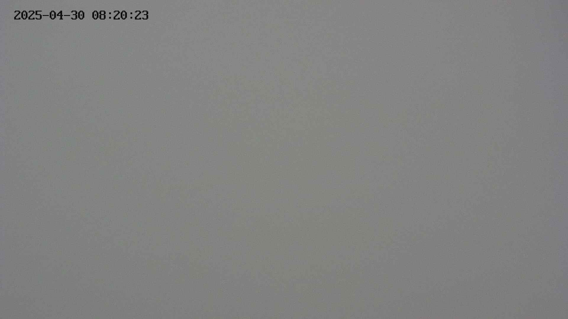 chojo20250430082024.jpg