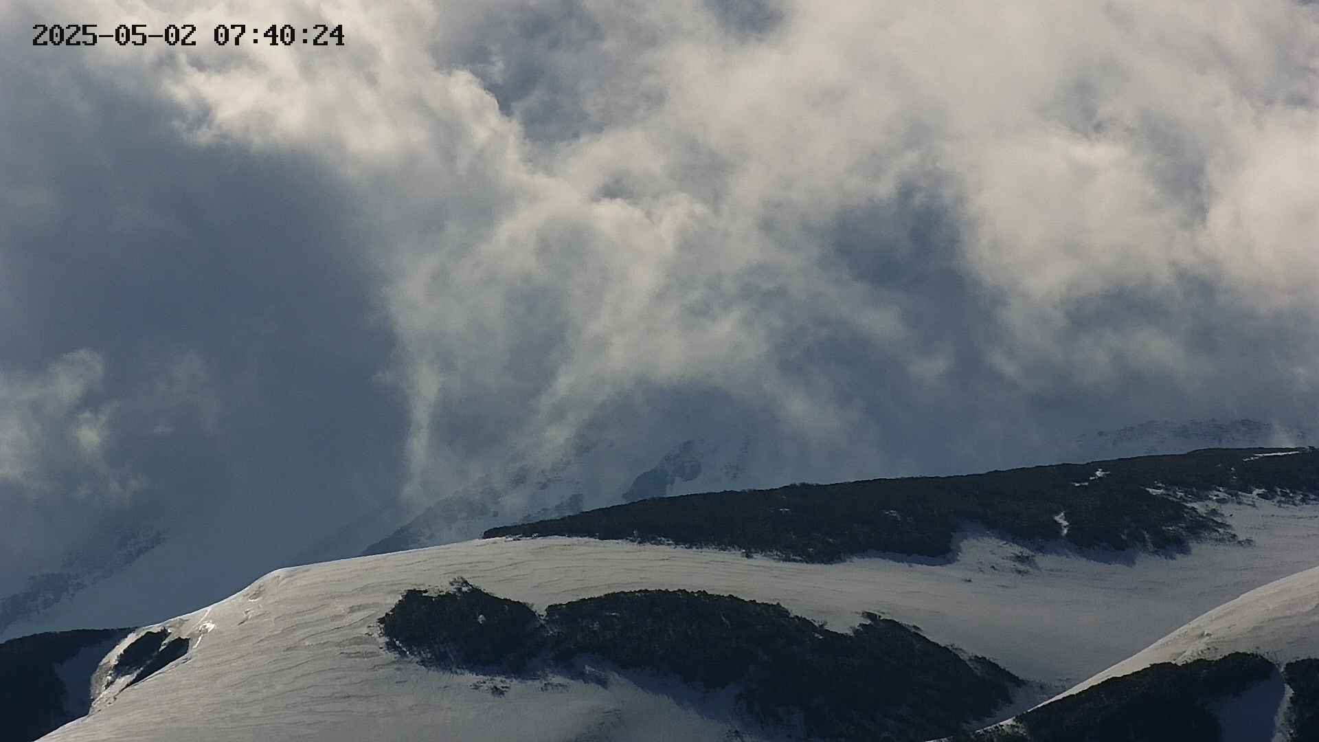 chojo20250502074025.jpg