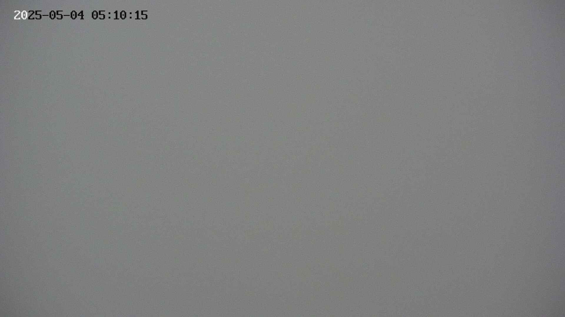 chojo20250504051023.jpg