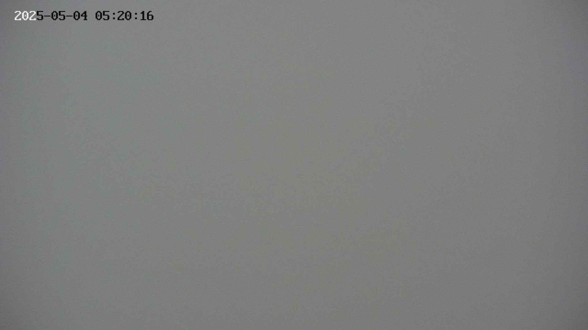 chojo20250504052024.jpg