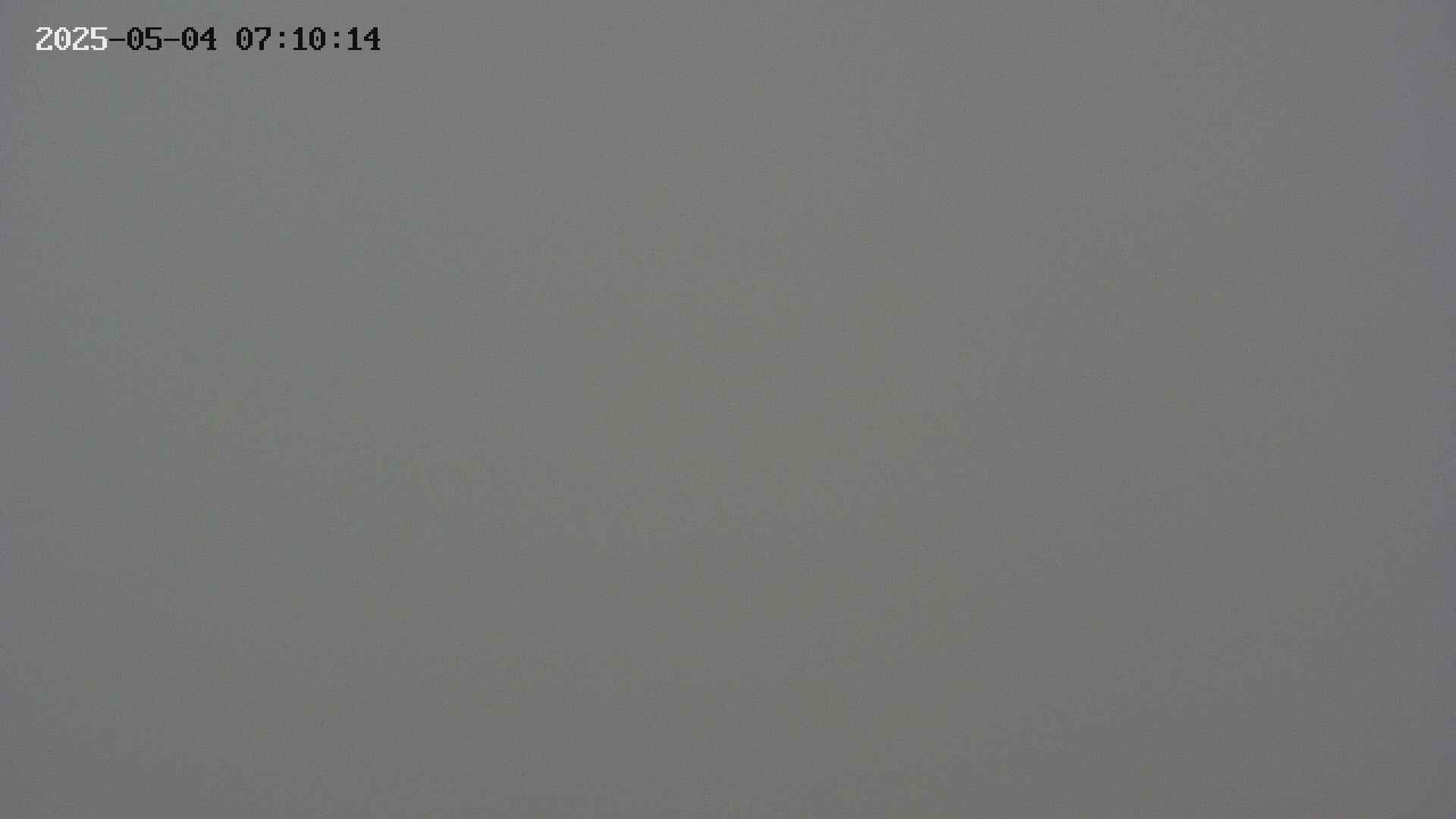chojo20250504071024.jpg