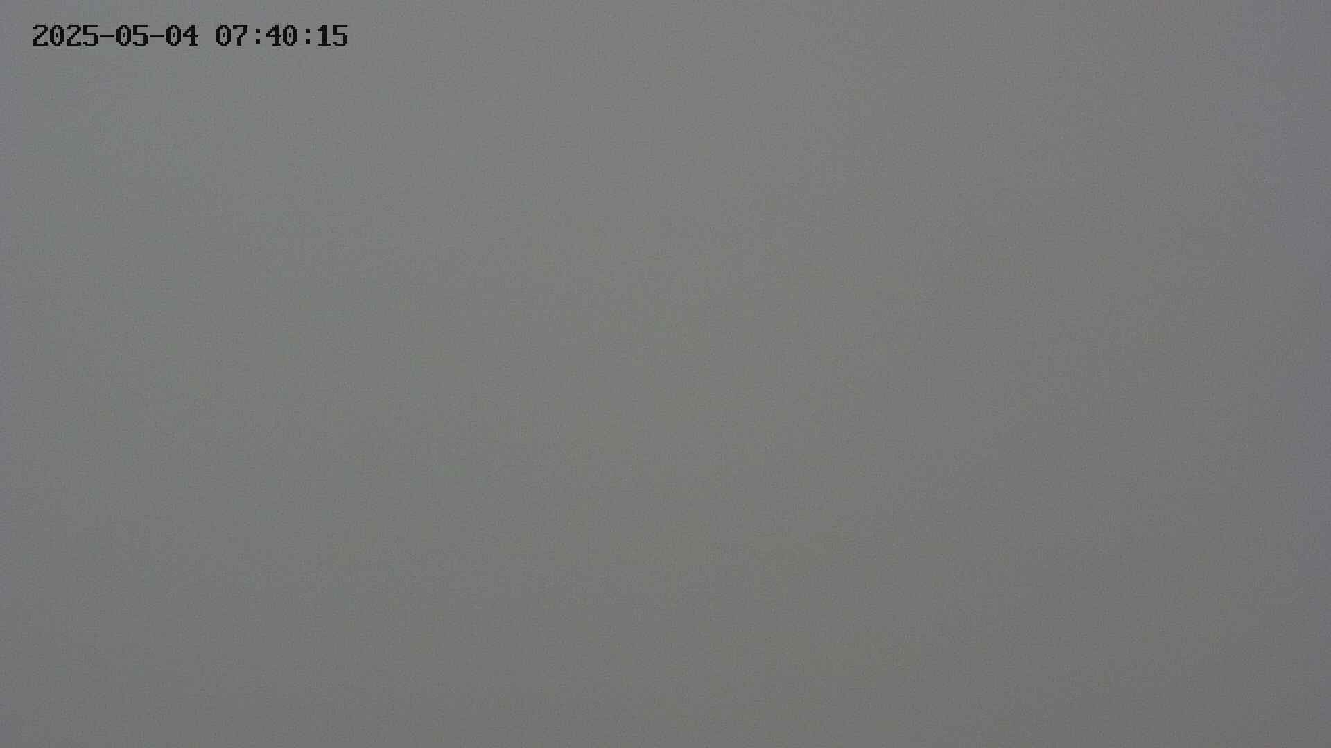 chojo20250504074025.jpg