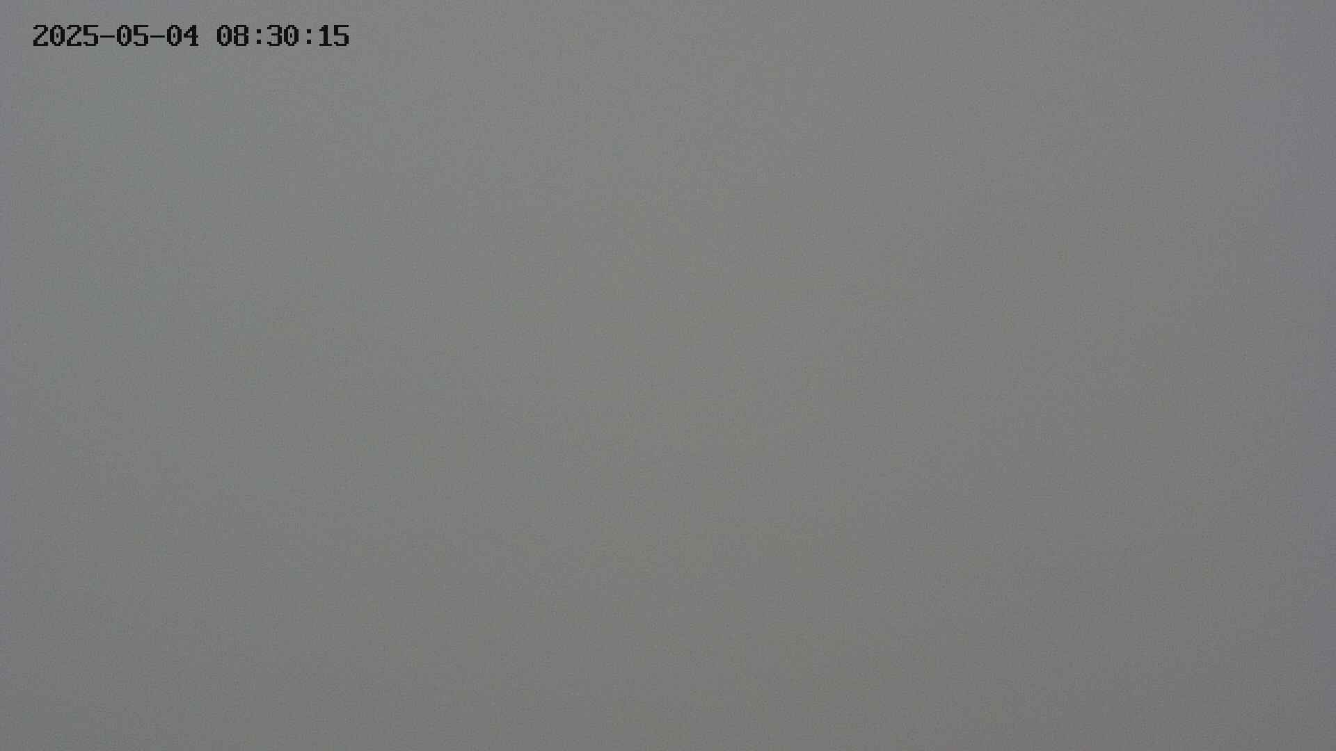 chojo20250504083025.jpg