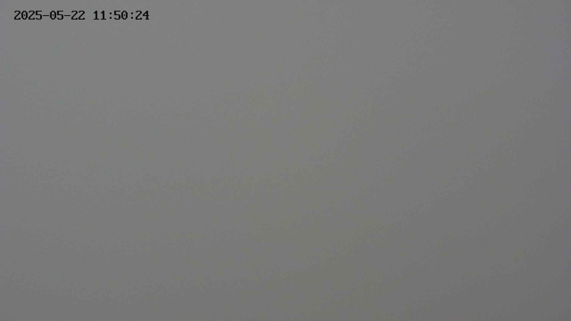 chojo20250522115023.jpg