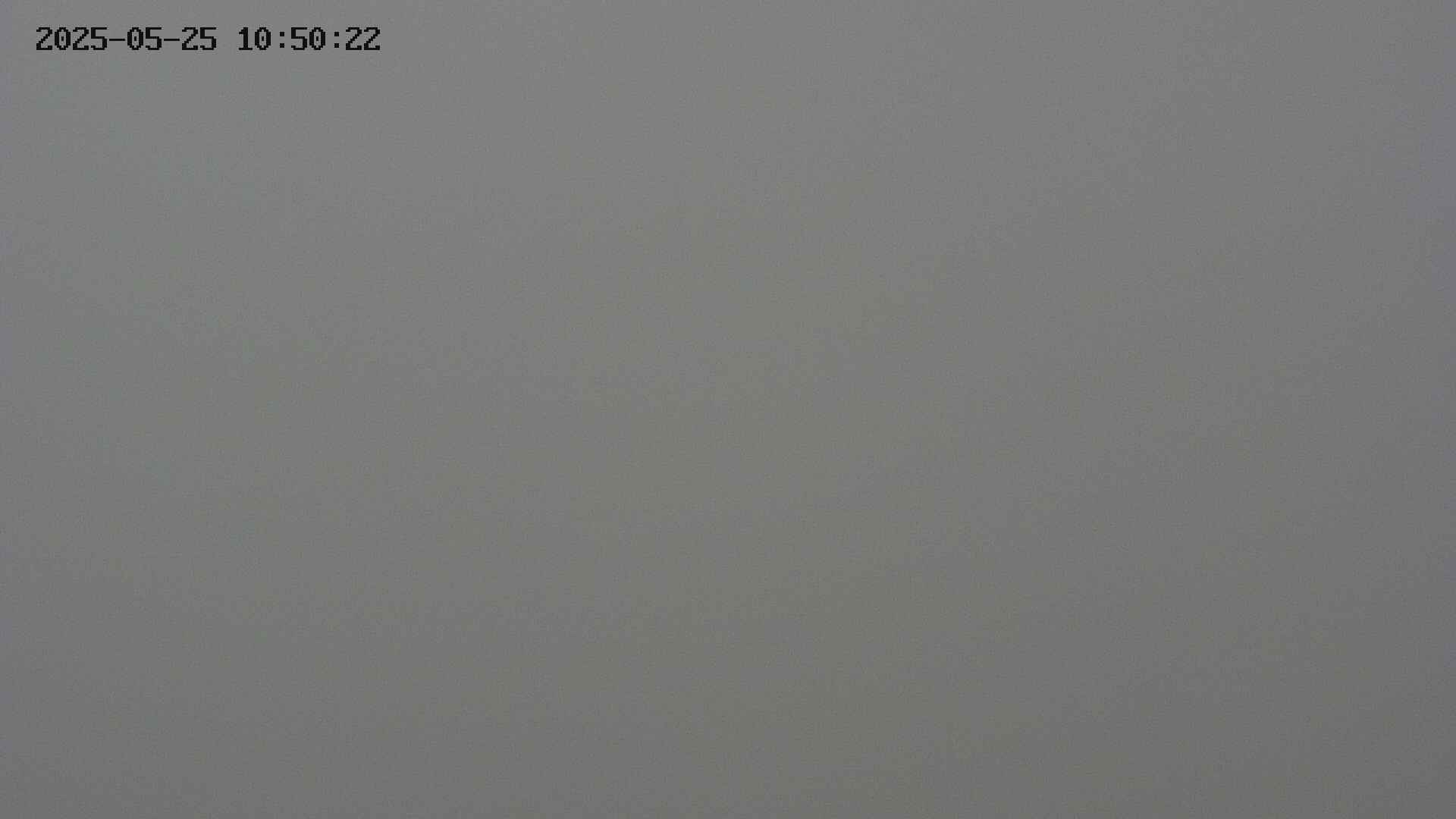 chojo20250525105024.jpg