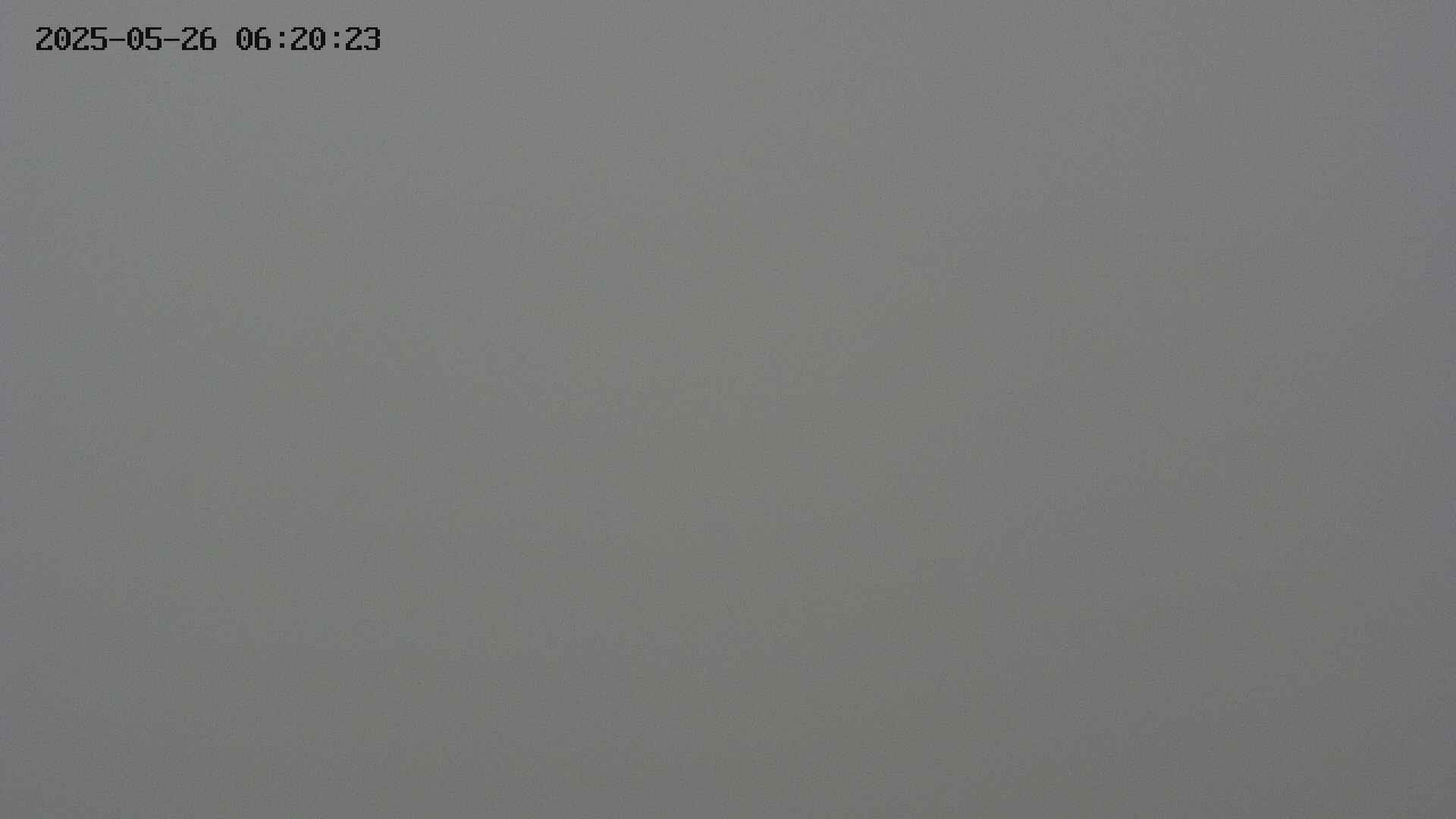 chojo20250526062025.jpg