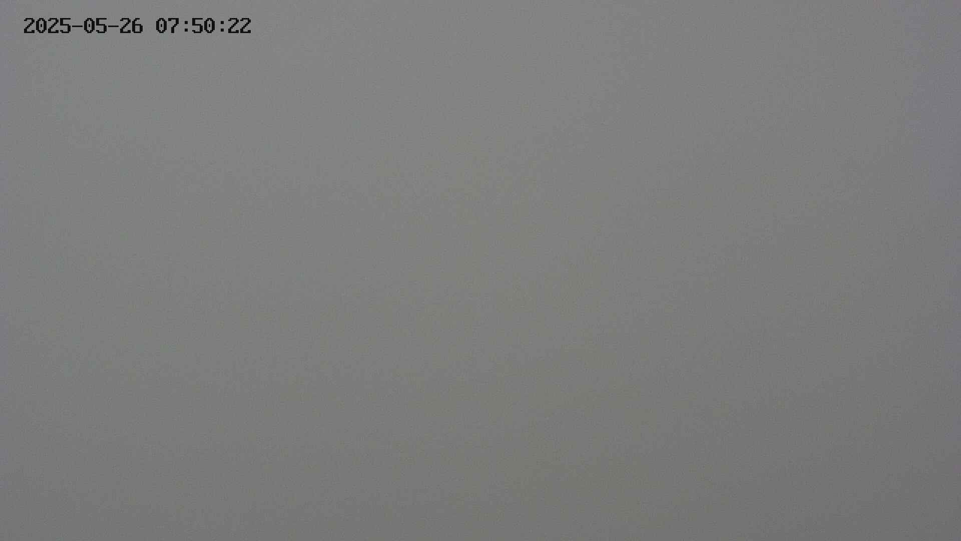 chojo20250526075024.jpg