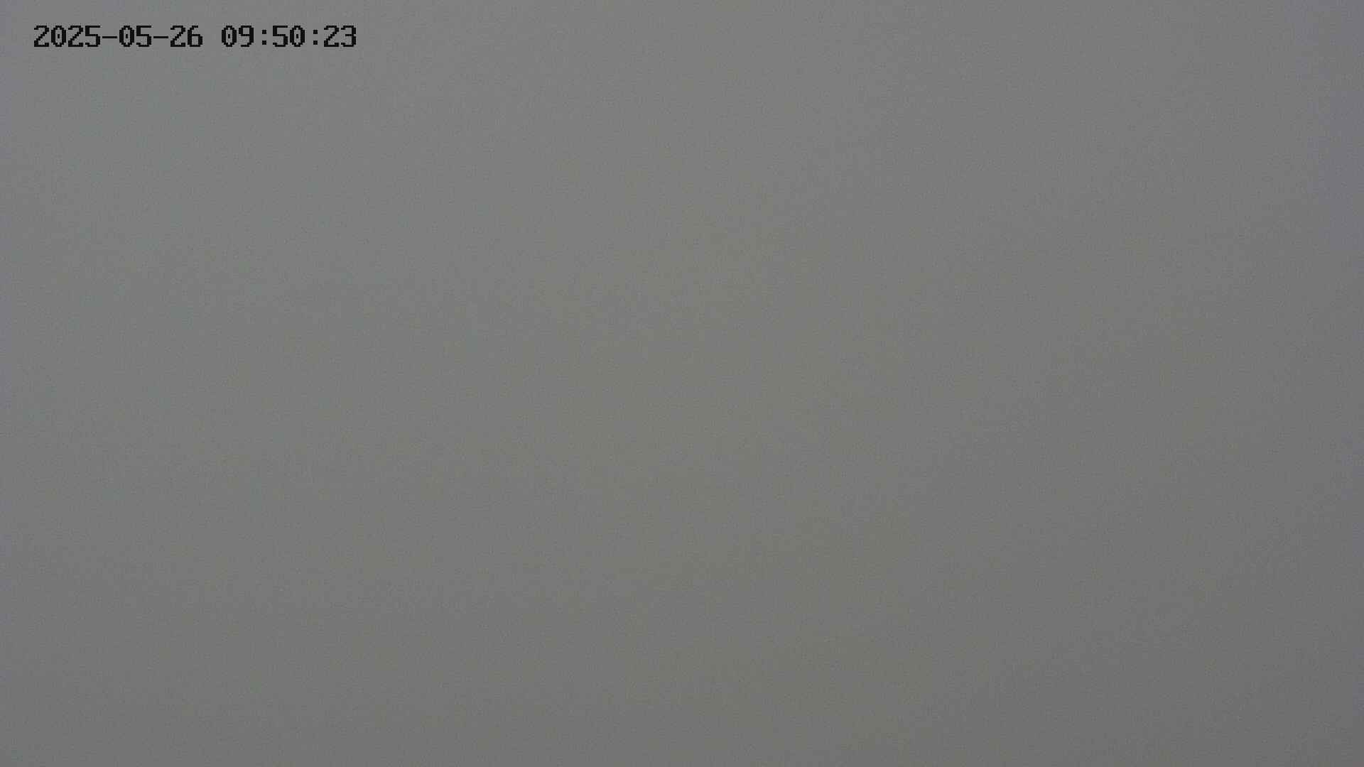 chojo20250526095023.jpg