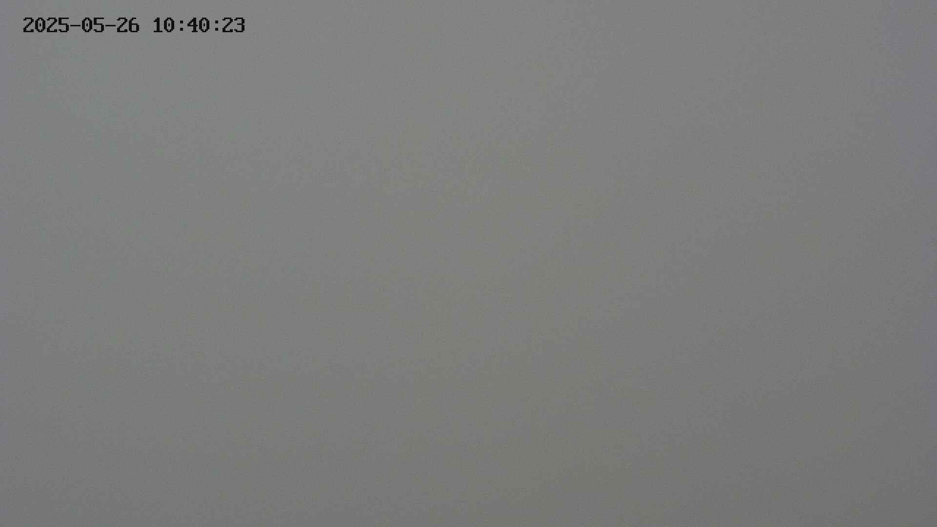 chojo20250526104024.jpg