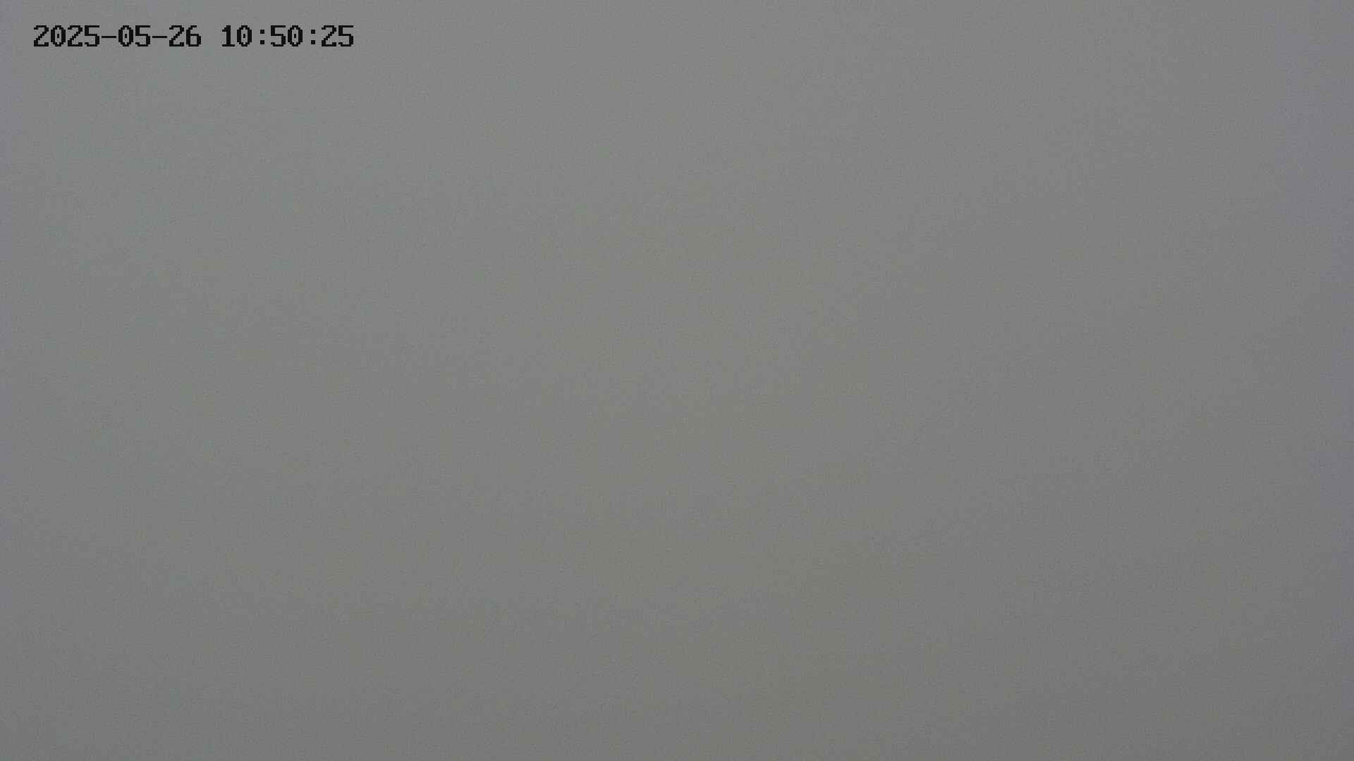 chojo20250526105025.jpg