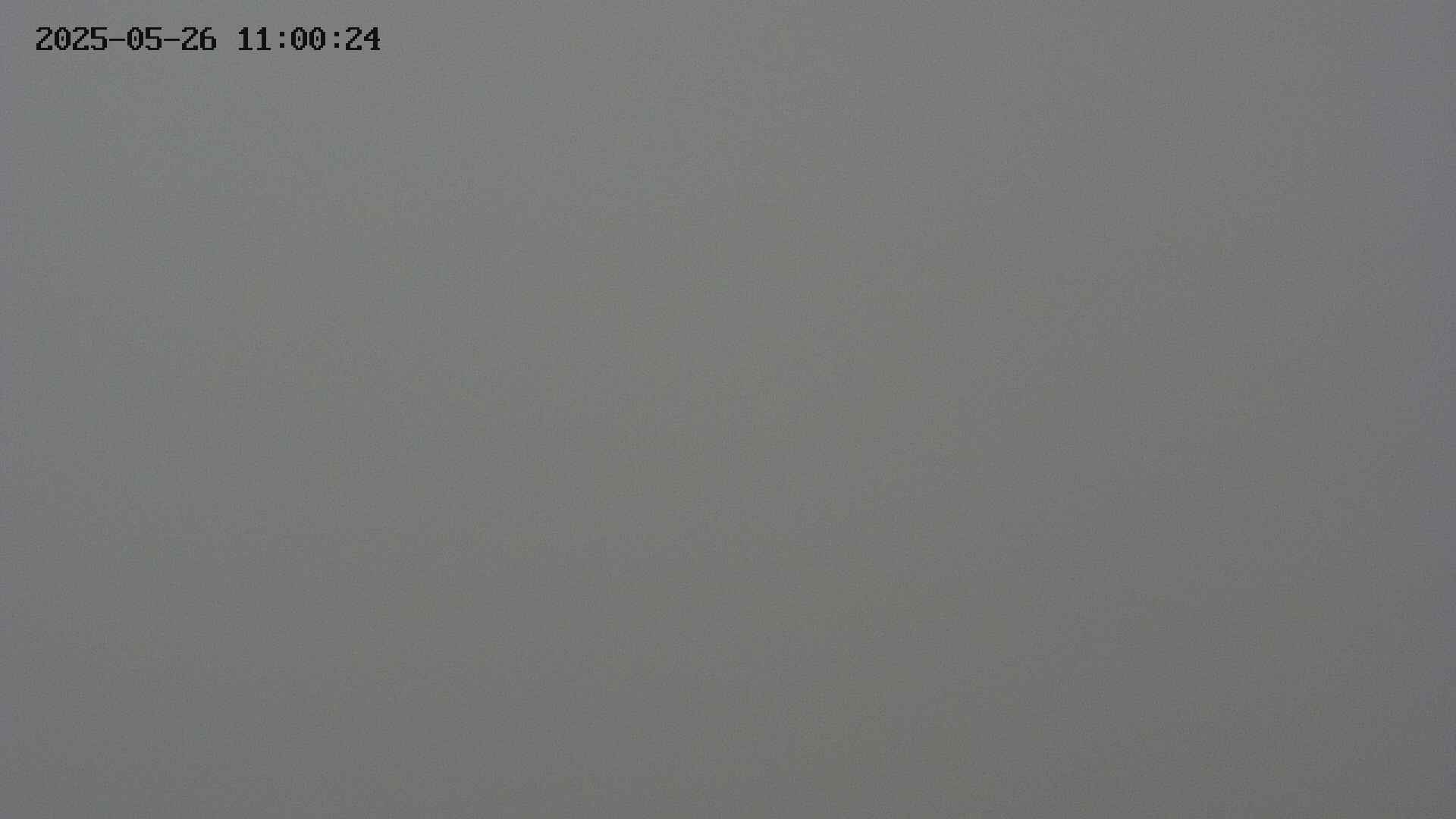 chojo20250526110024.jpg