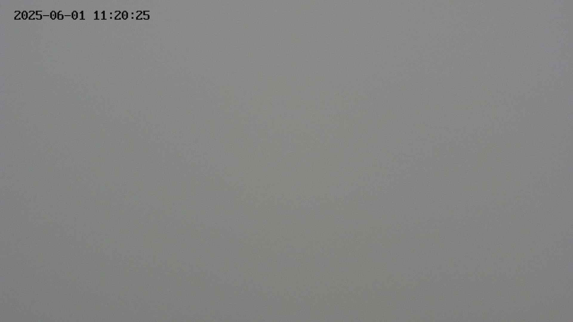 chojo20250601112025.jpg