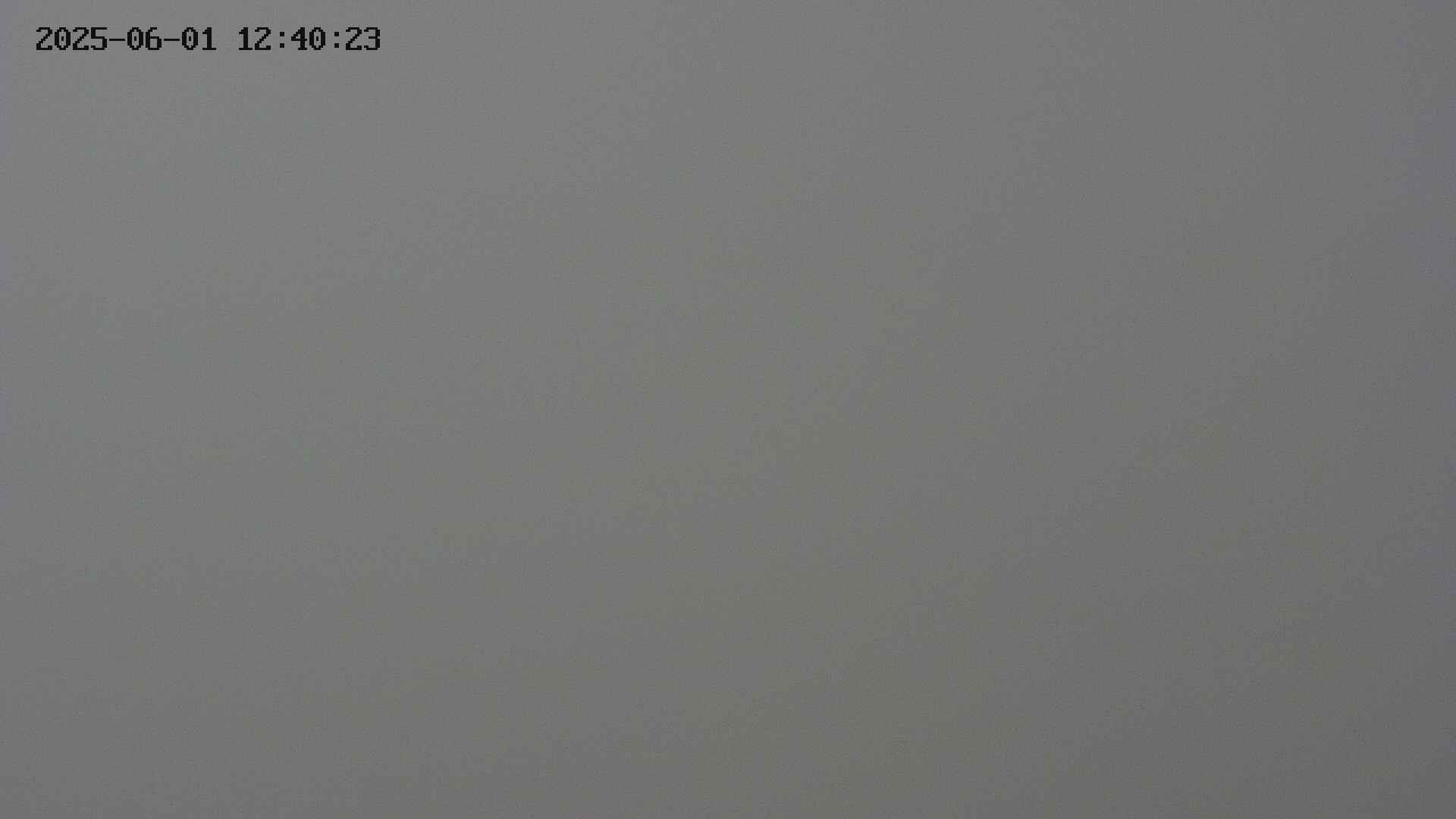 chojo20250601124024.jpg