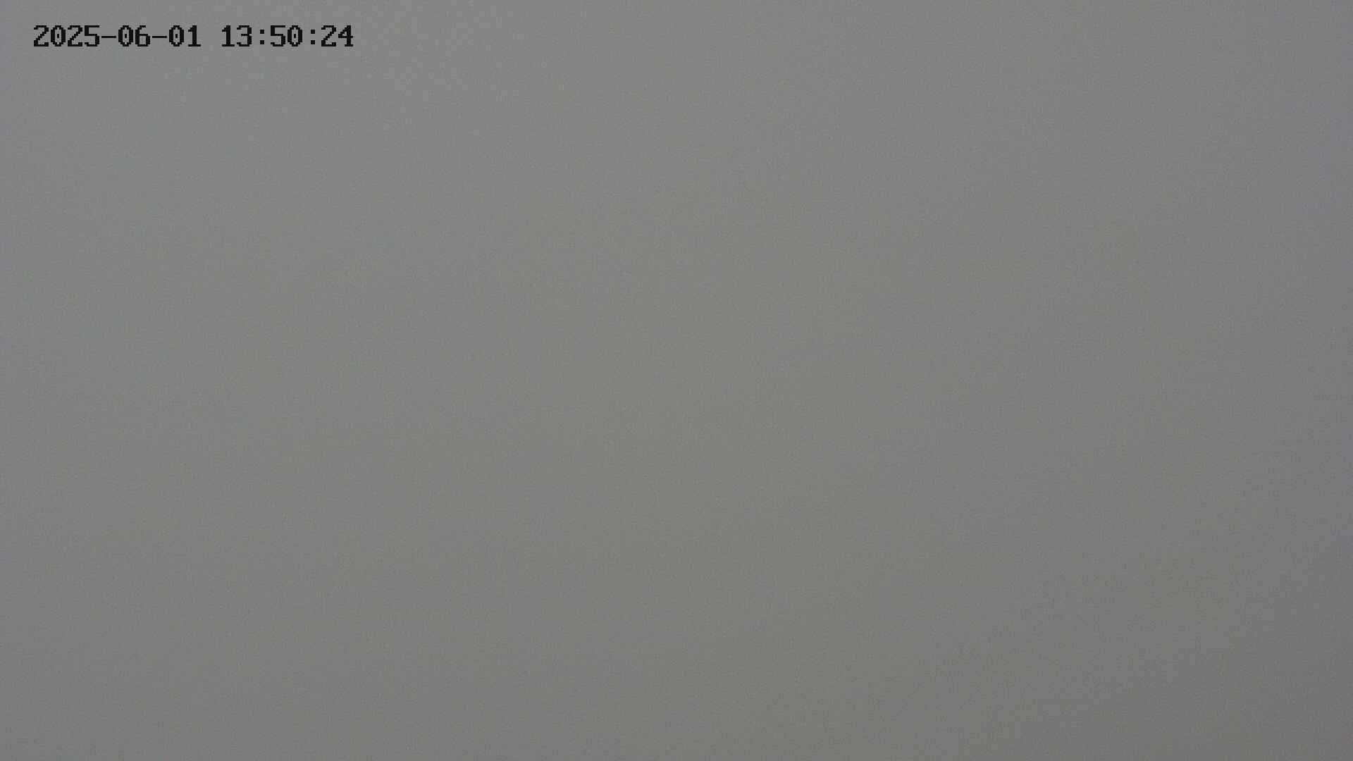 chojo20250601135025.jpg