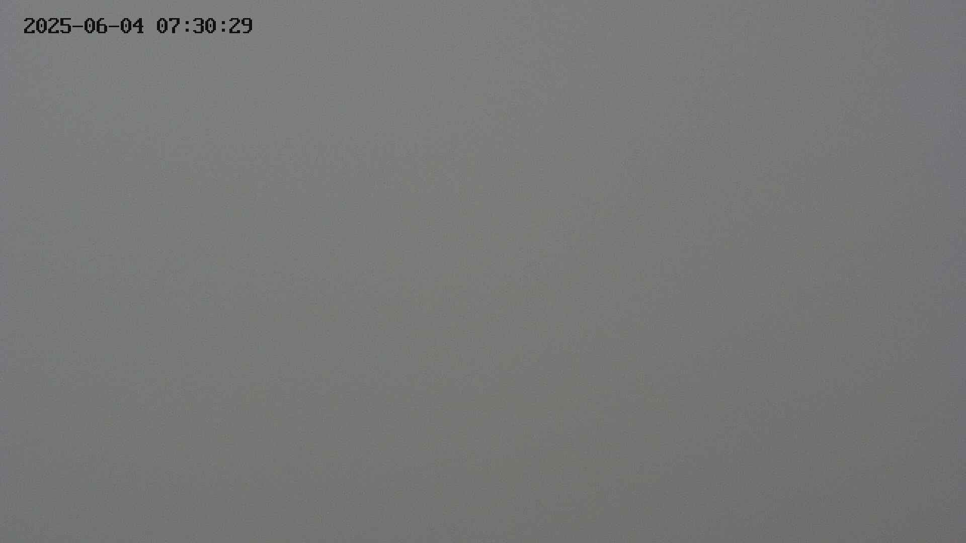 chojo20250604073025.jpg