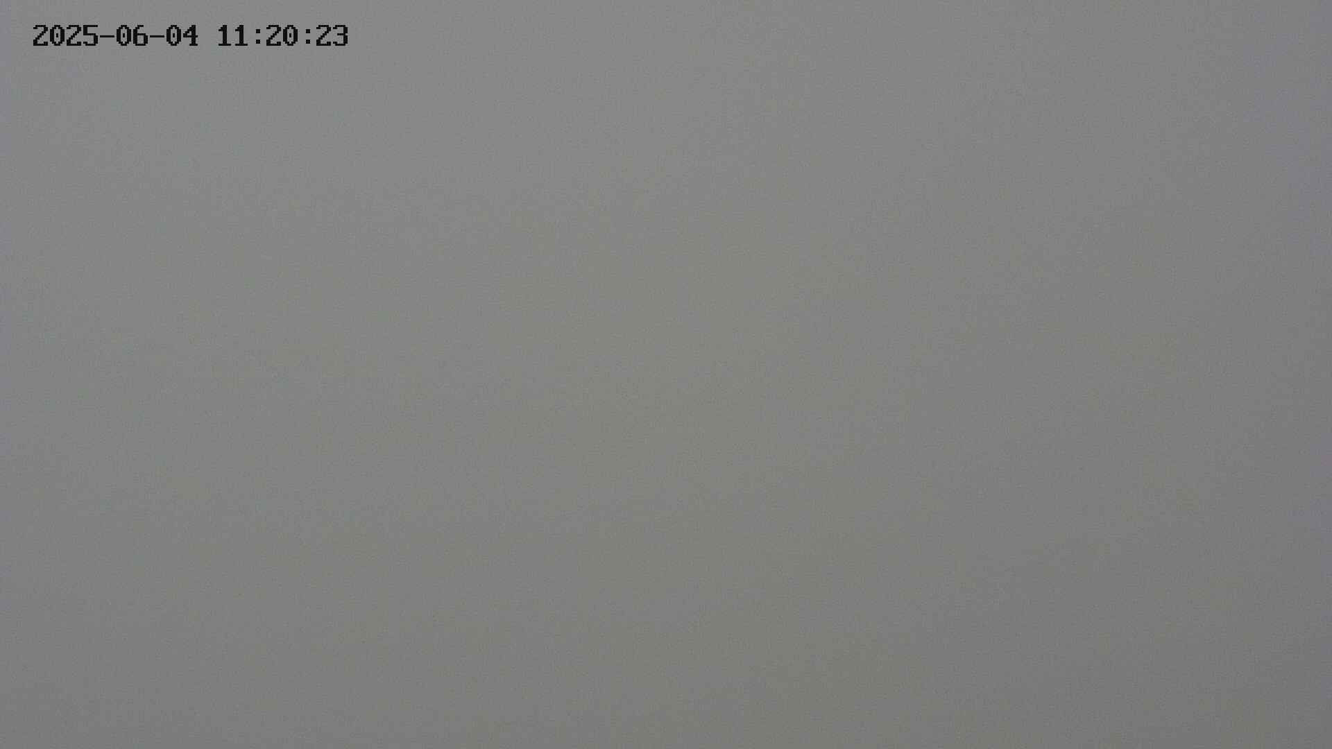 chojo20250604112024.jpg