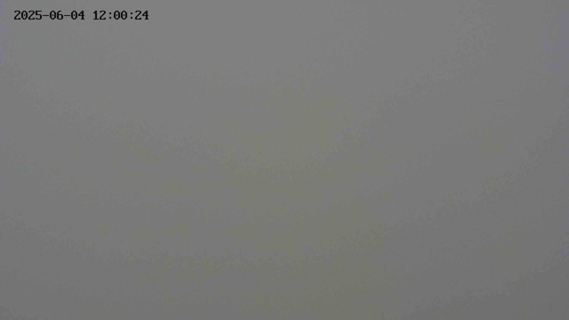 chojo20250604120024.jpg
