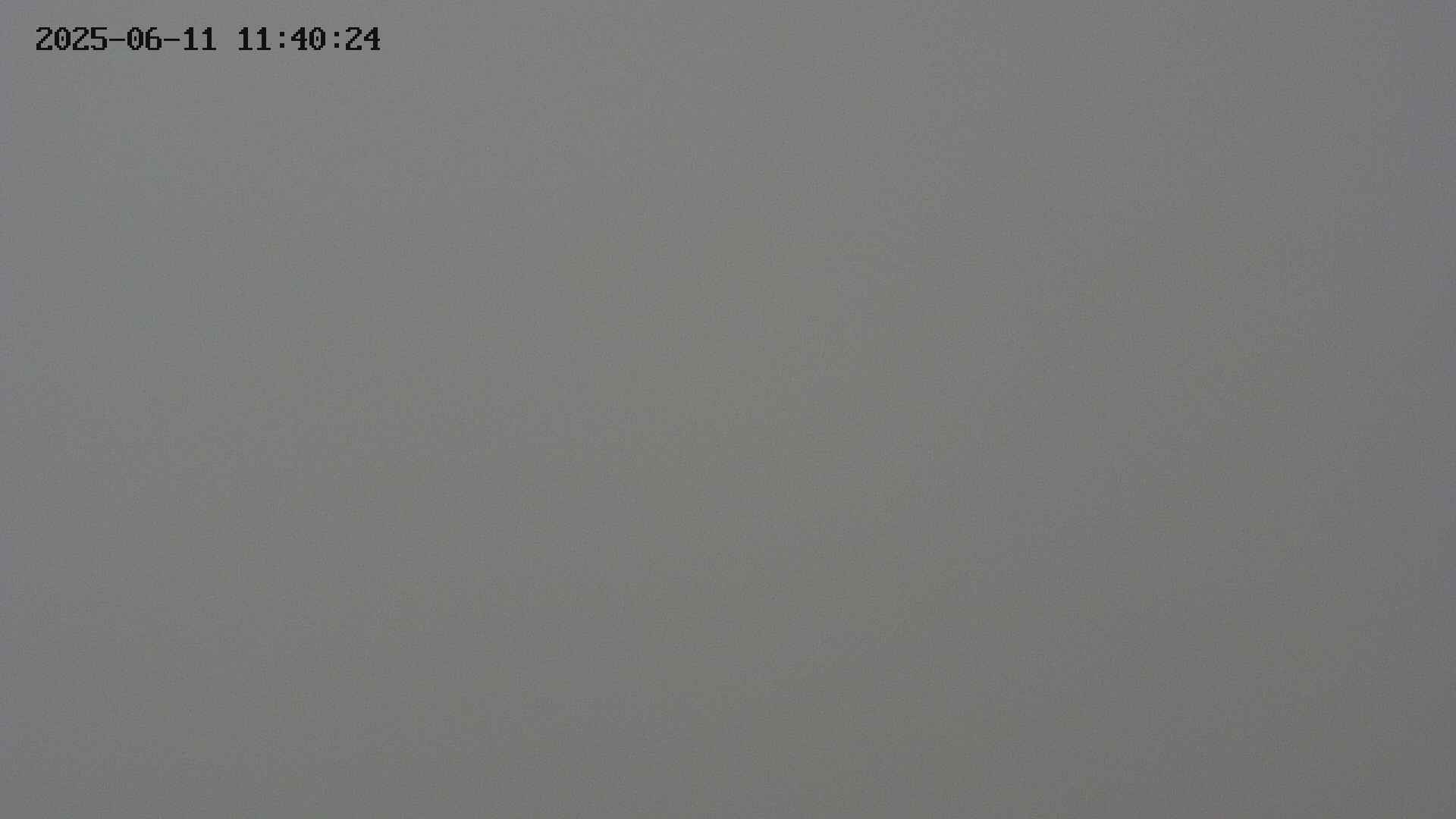 chojo20250611114024.jpg