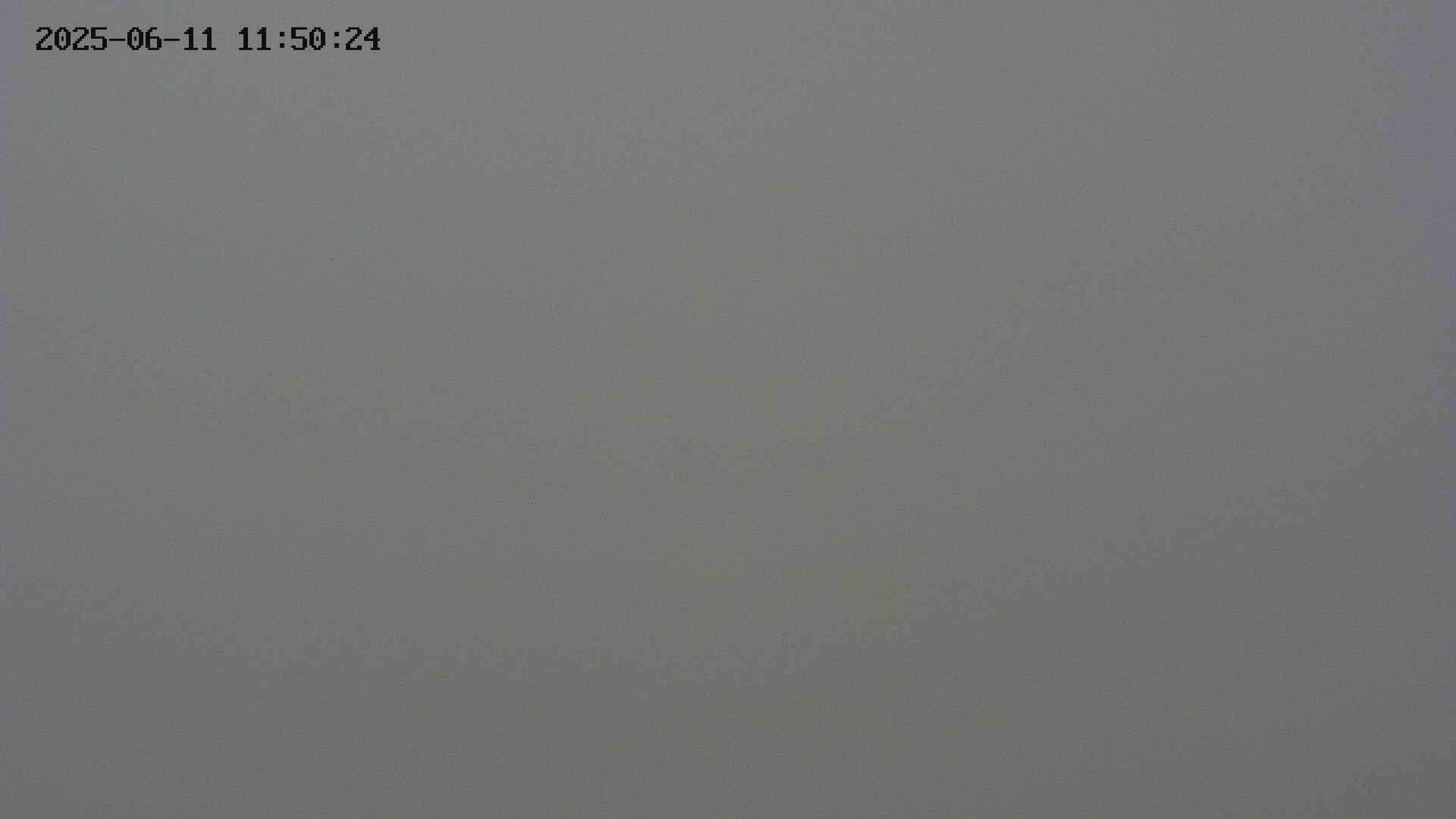 chojo20250611115024.jpg