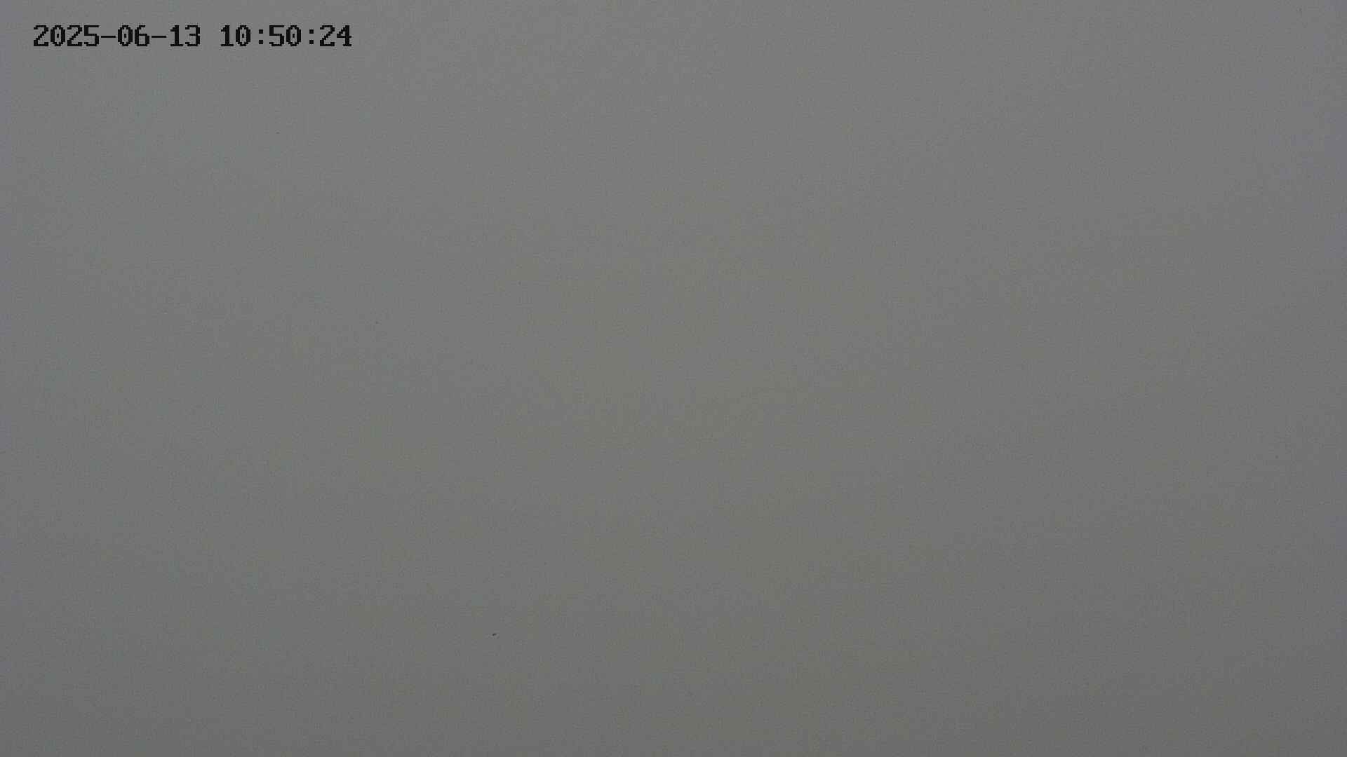 chojo20250613105025.jpg