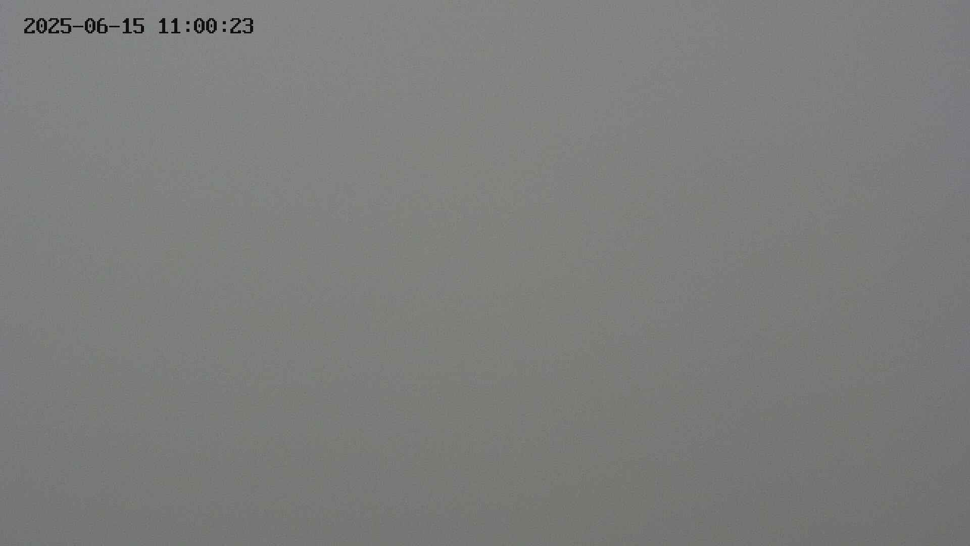 chojo20250615110023.jpg