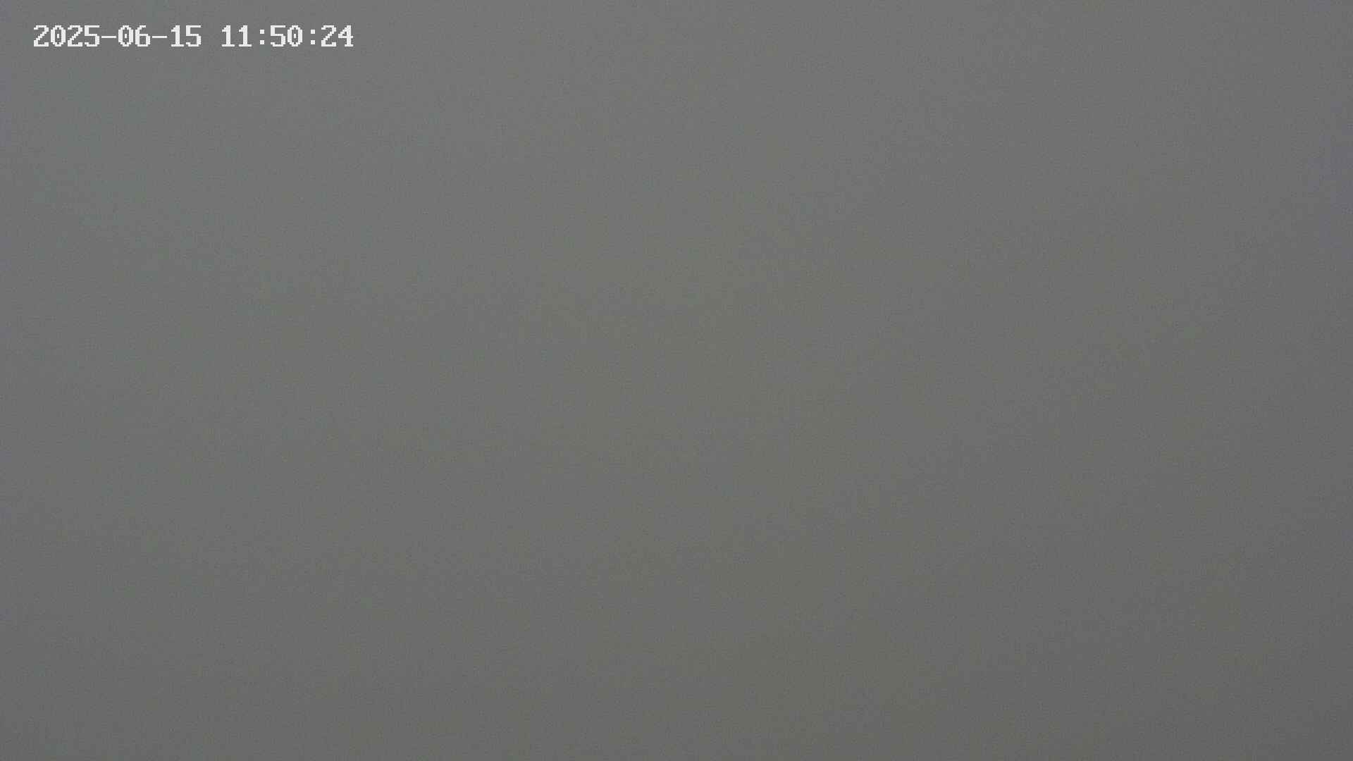 chojo20250615115024.jpg