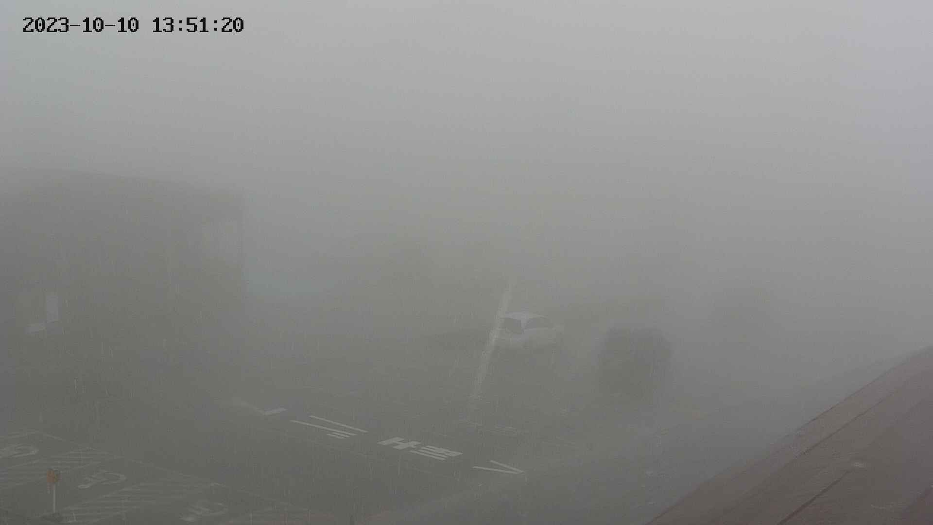 chusha20231010135121.jpg