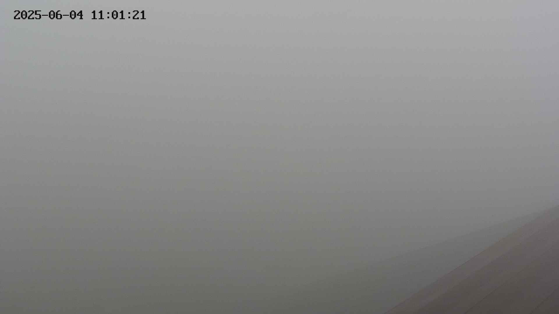 chusha20250604110122.jpg