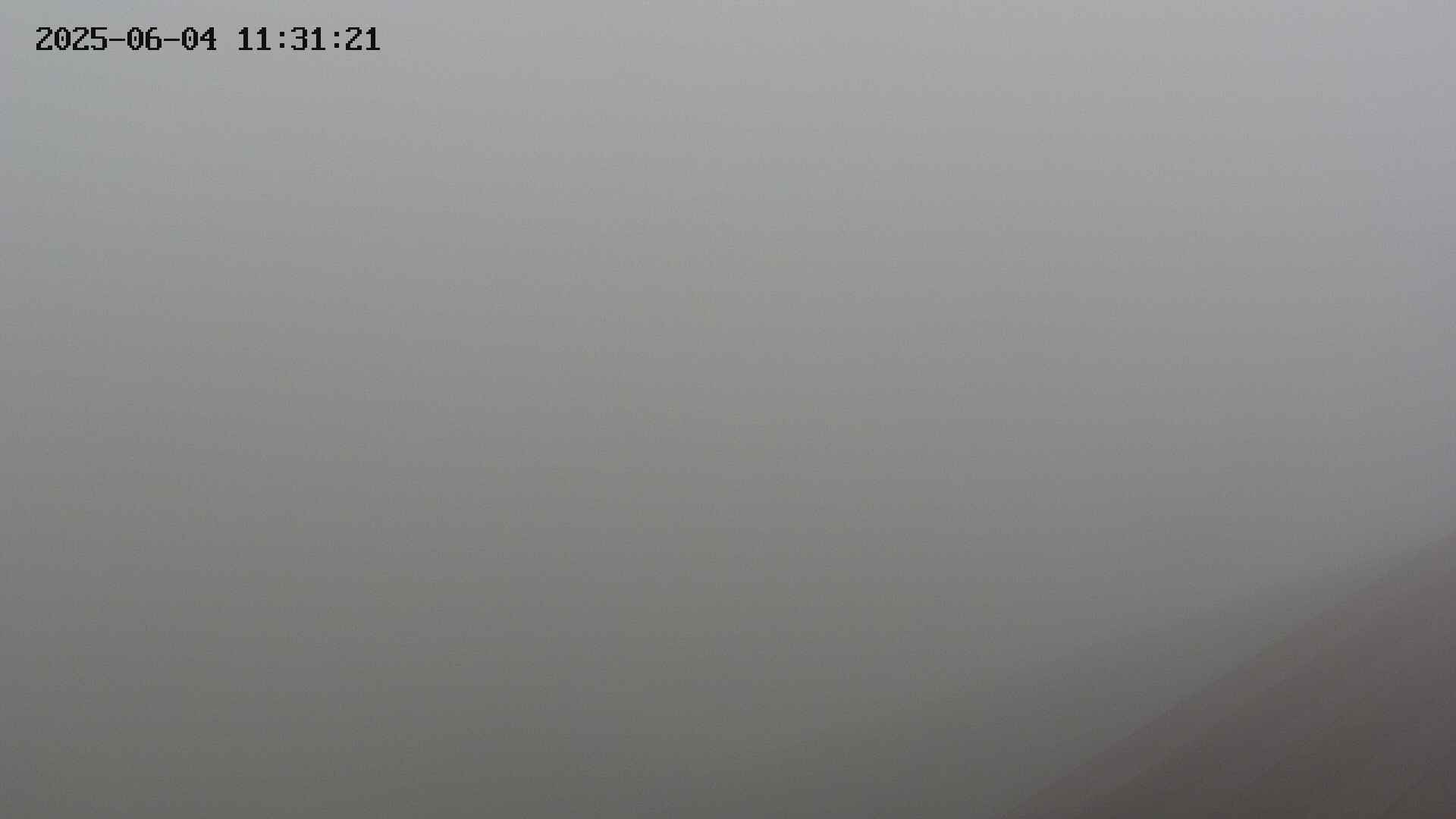 chusha20250604113121.jpg