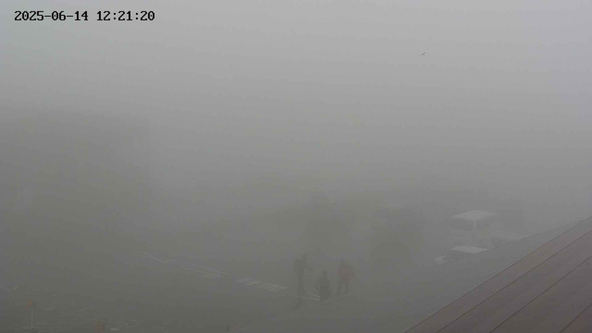 chusha20250614122121.jpg