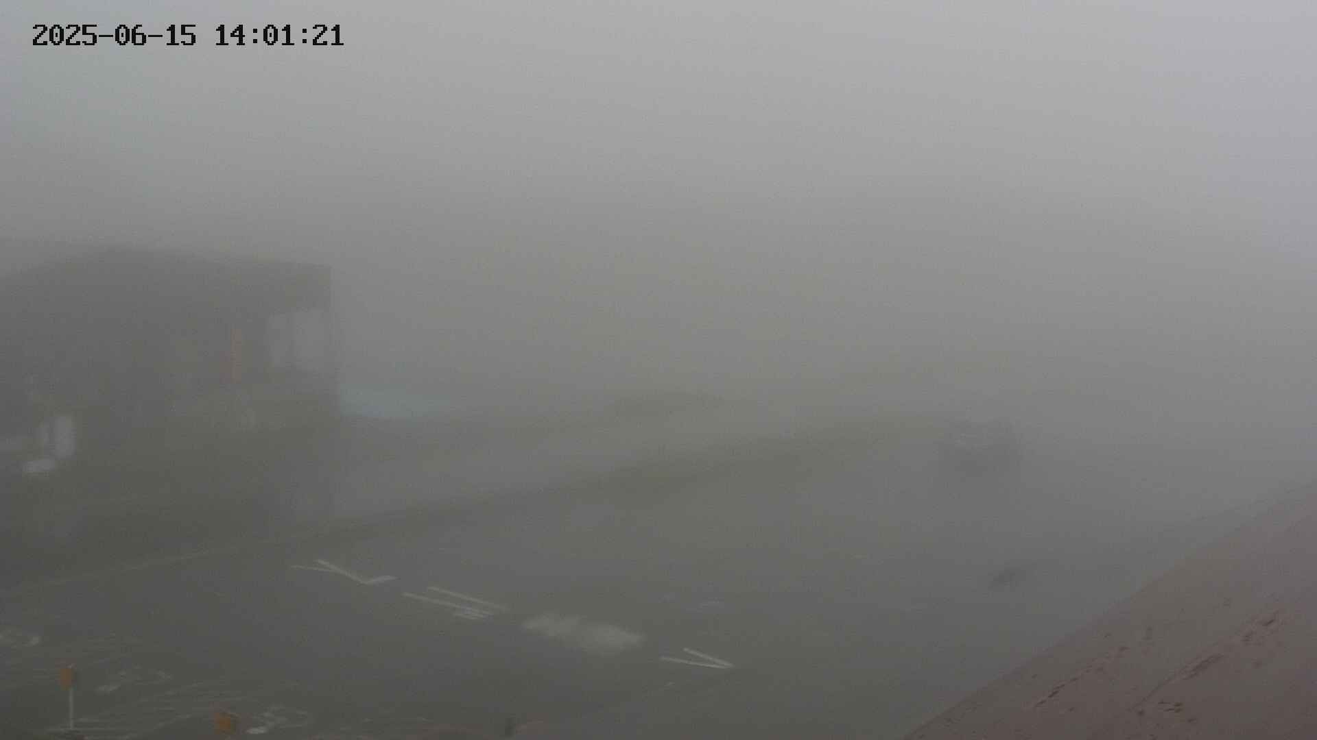 chusha20250615140120.jpg