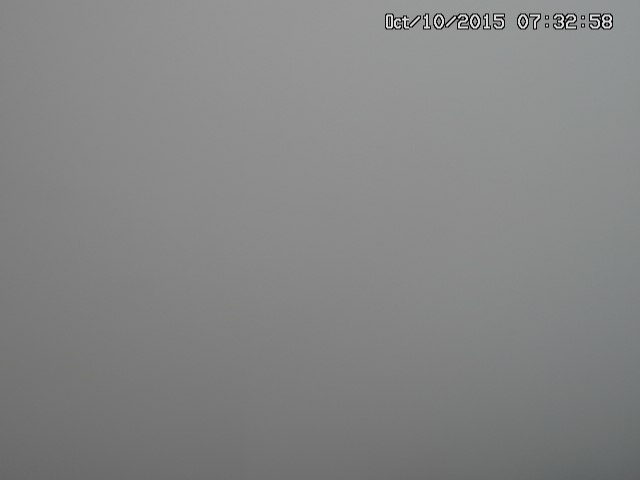 hibari20151010073258.jpg