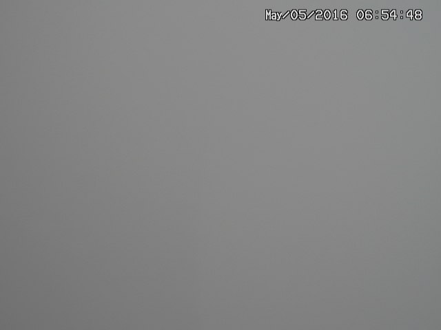 hibari20160505065450.jpg