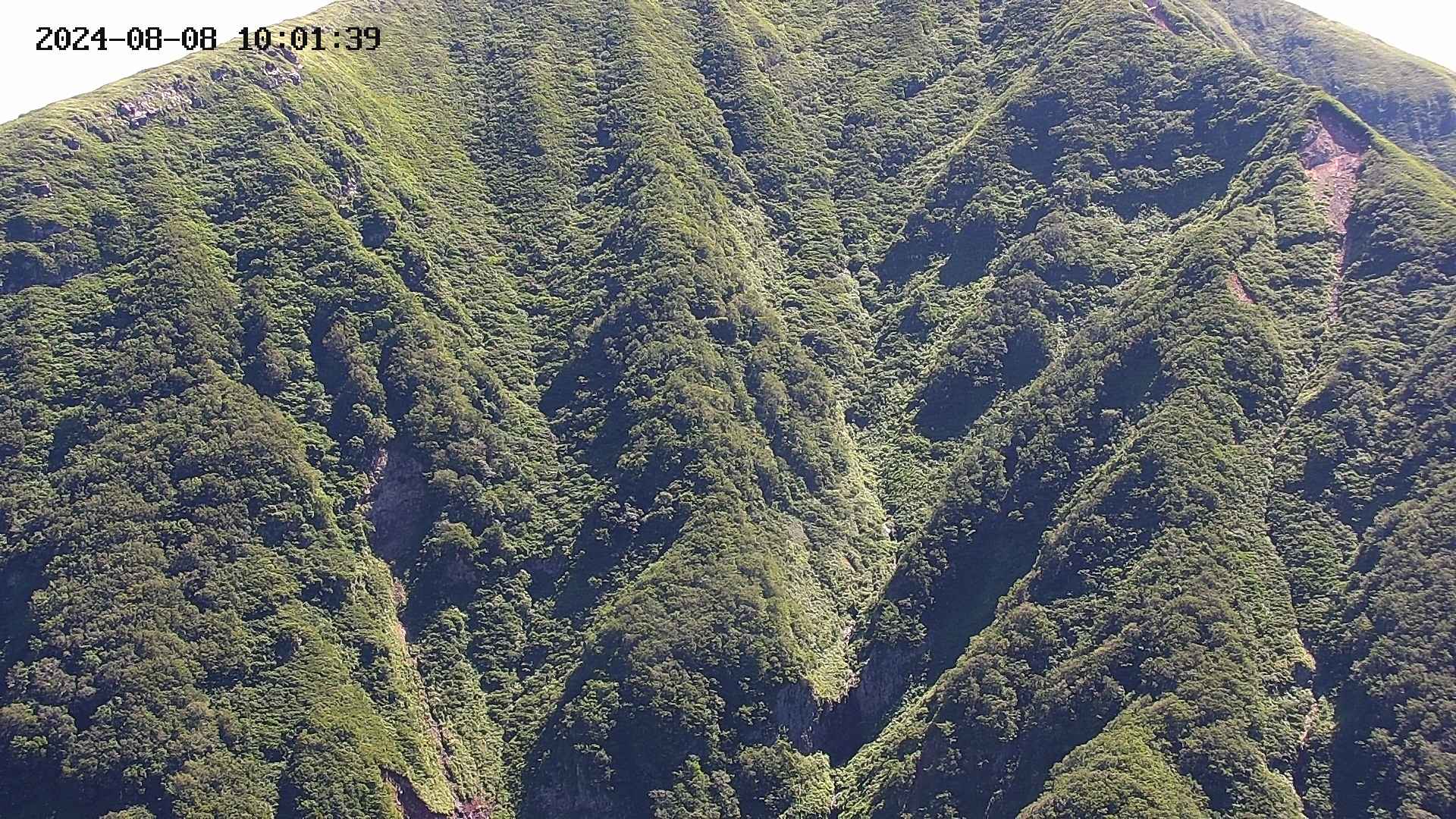 keikoku20240808100141.jpg