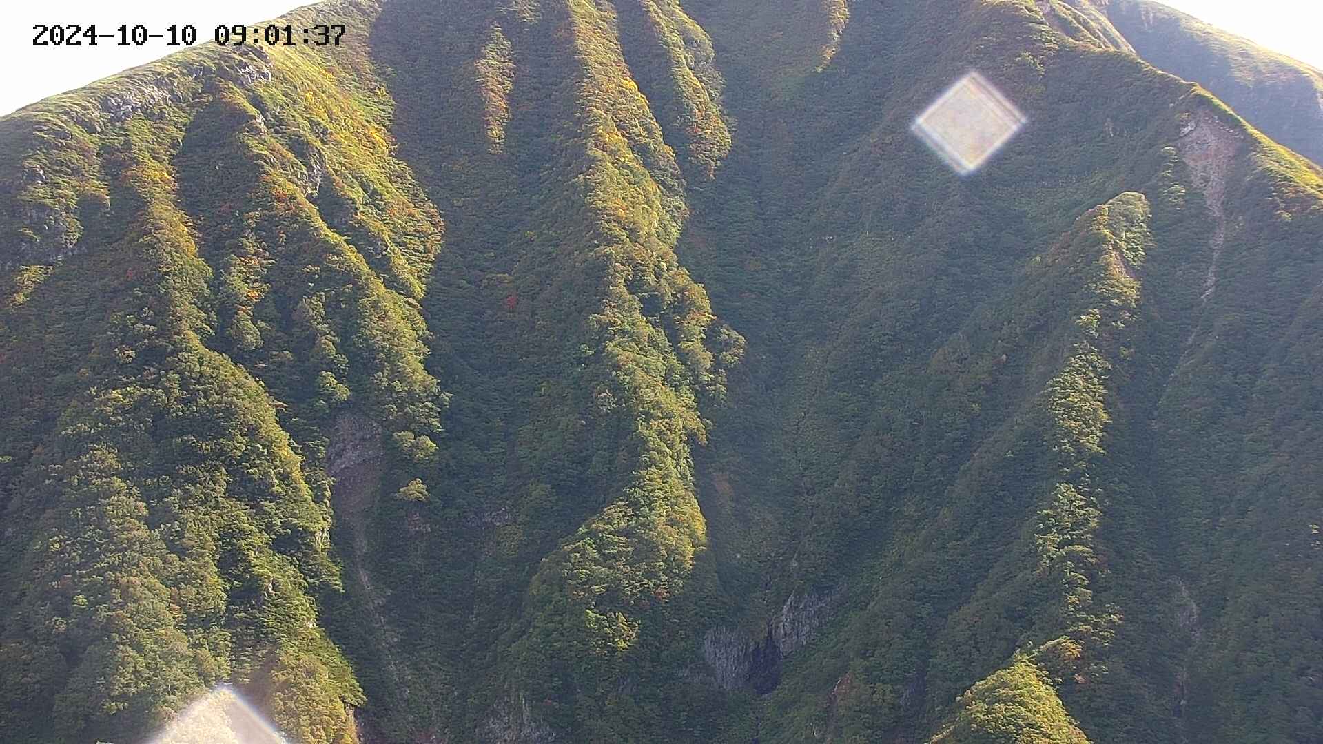 keikoku20241010090138.jpg
