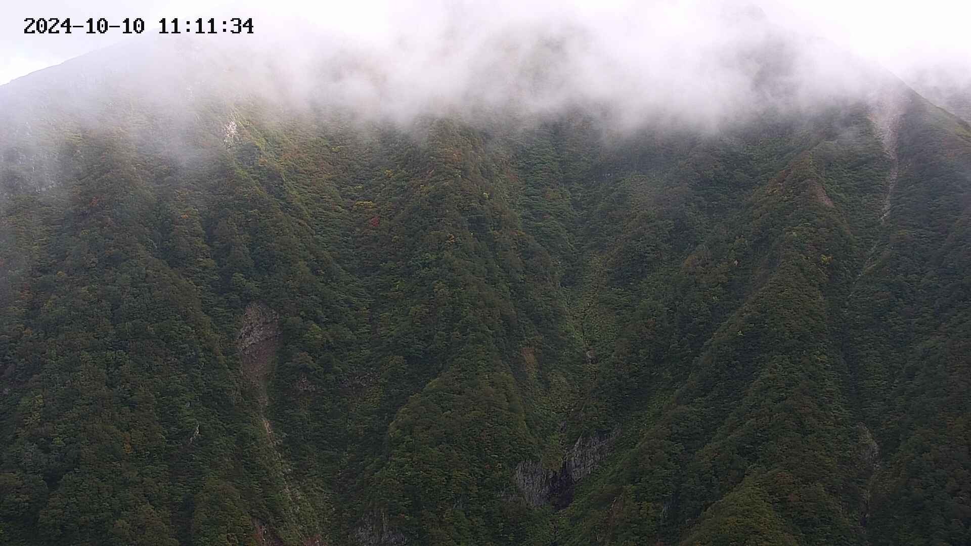 keikoku20241010111135.jpg