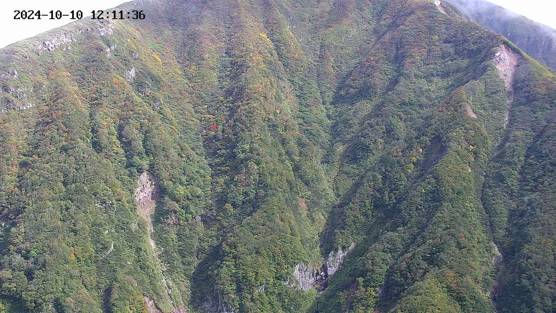 keikoku20241010121138.jpg